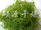 海藻(椰蓉)干燥生產線